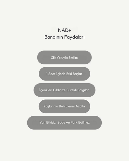 NAD+ Bandı